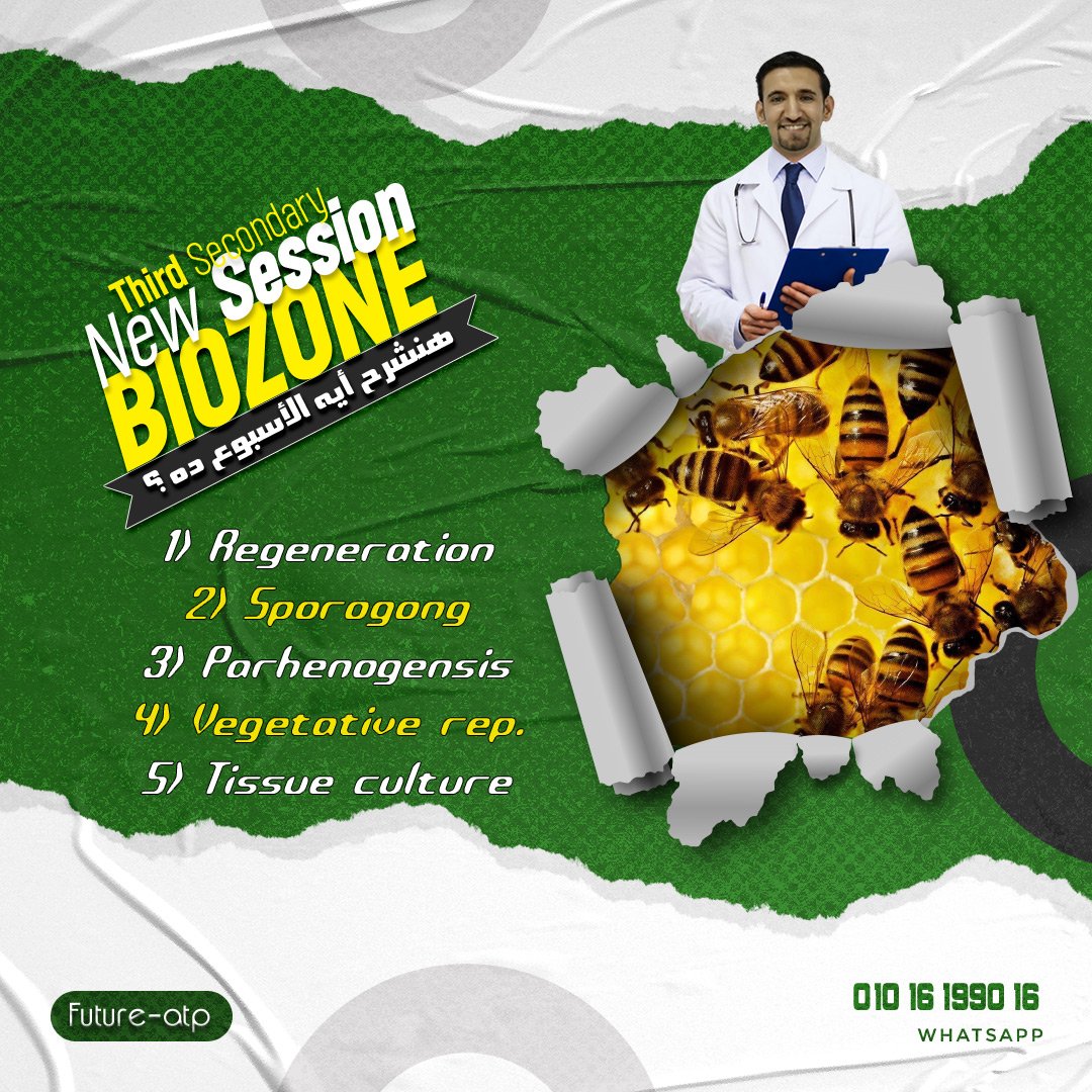 2026 - 3 - Regeneration